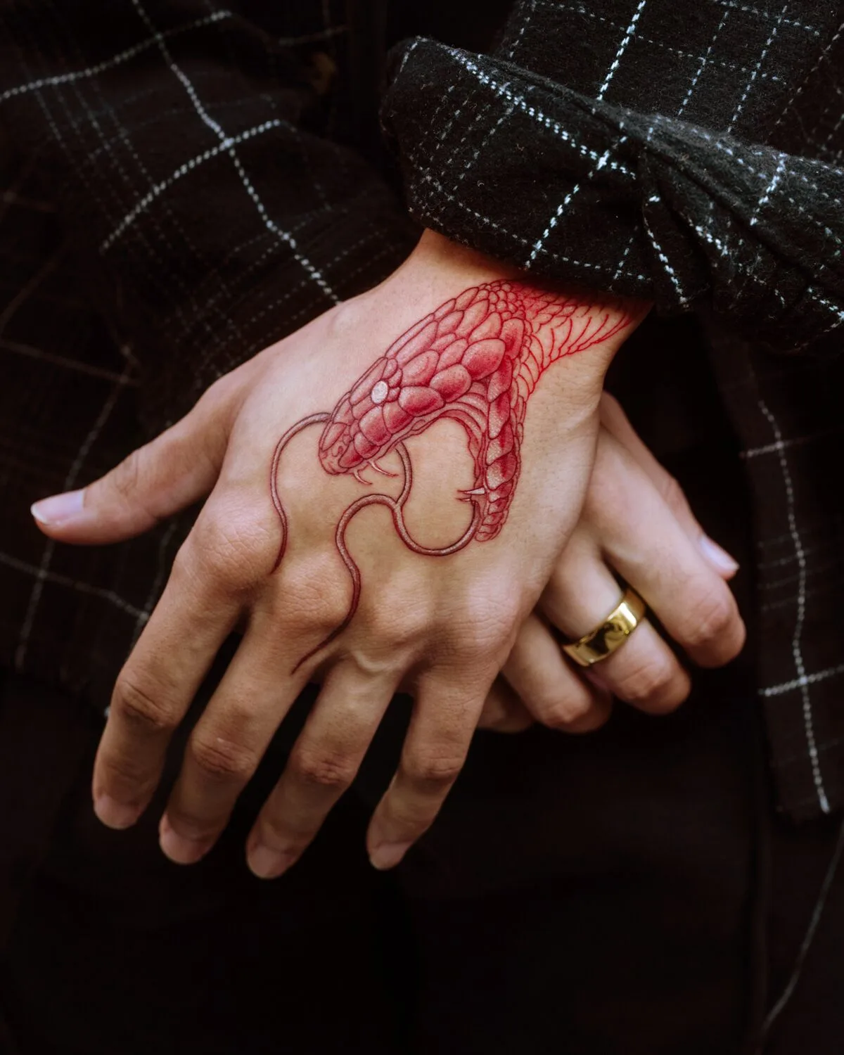 Red snake — hand