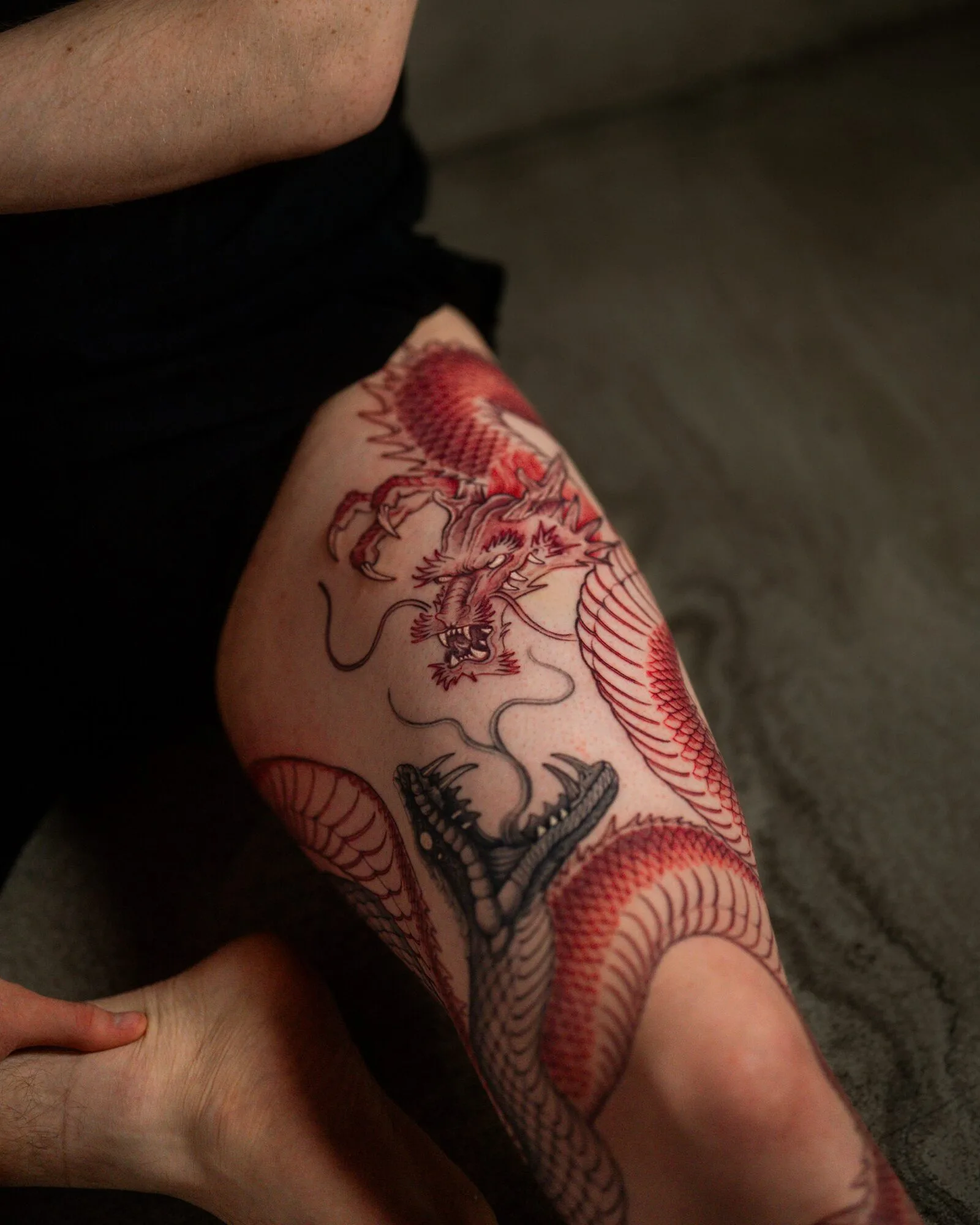 Red dragon — leg